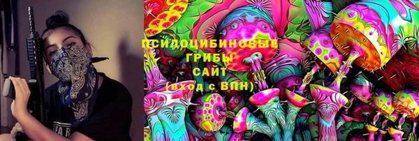гидра Рославль