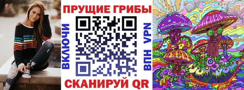 где найти наркотики  Дивногорск  Псилоцибиновые грибы мицелий 