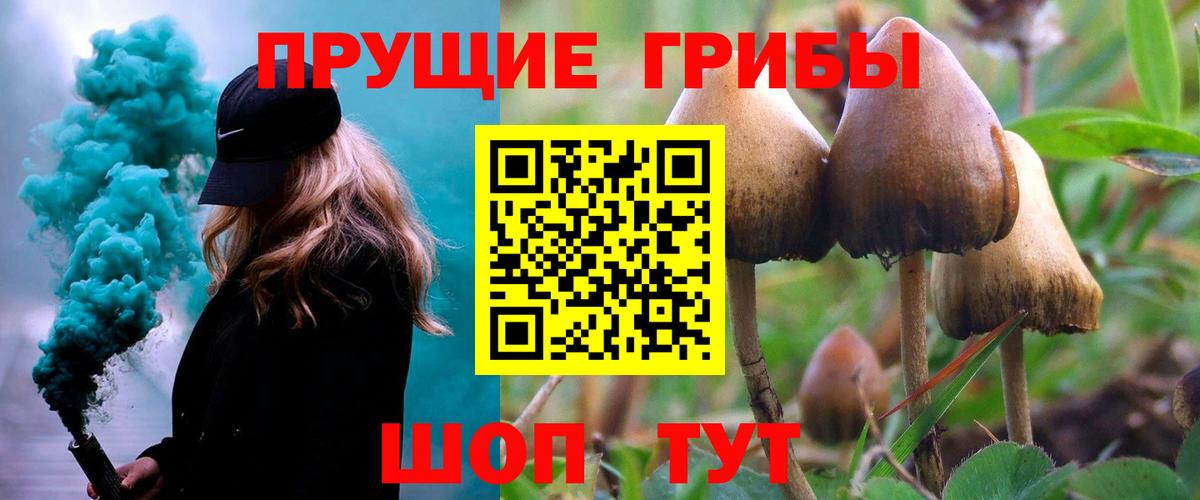 Псилоцибиновые грибы мухоморы  Вход с VPN  Дивногорск 